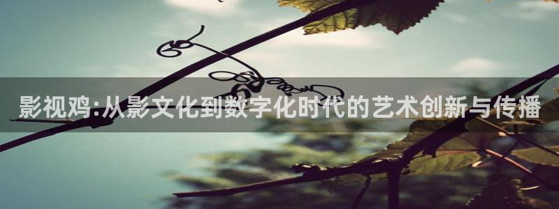 好看影院在線觀看：影視雞:從影文化到數(shù)字化時代的藝術創(chuàng)新與傳播